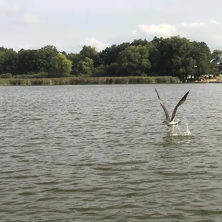 In Terrasse Und Grill By Interhome بيت للعطل