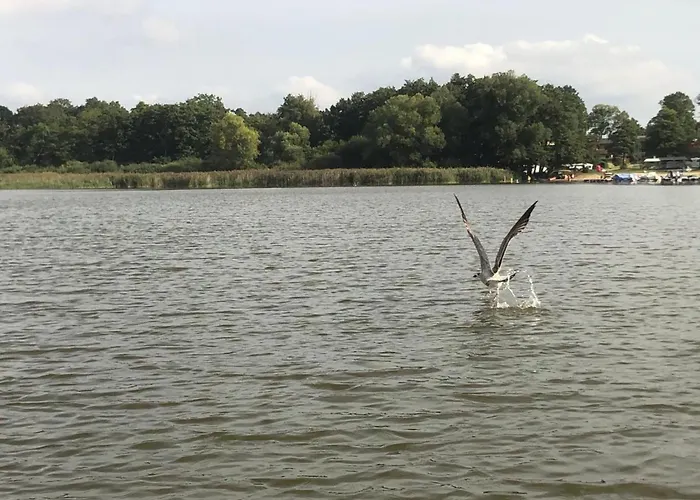 In Terrasse Und Grill By Interhome بيت للعطل