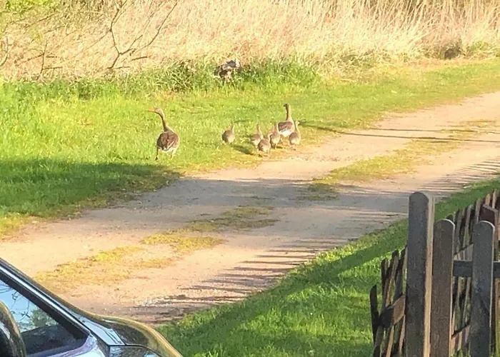 بيت للعطل In Terrasse Und Grill By Interhome *